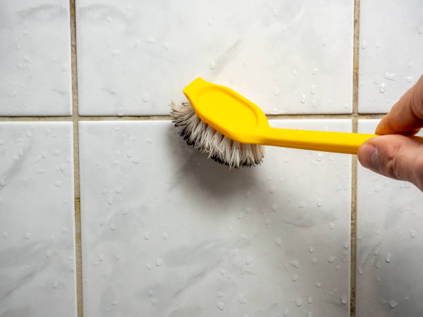 Best Localized Mold Remediation (e.g., coastal areas, humid climates) in Norridge, IL